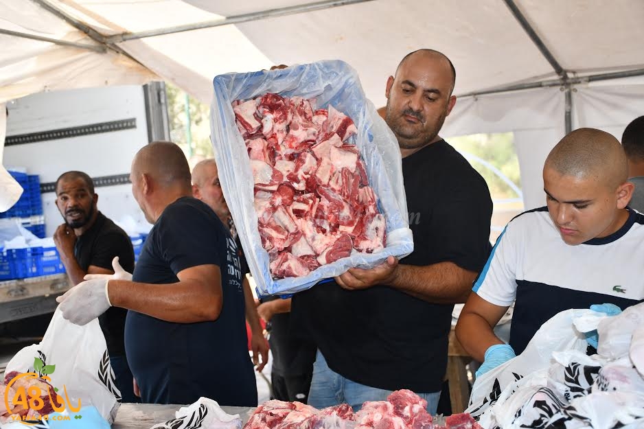 Adada7aeeqj (2).jpg.jpg.jpg